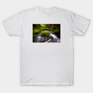 Otways Rainforest T-Shirt